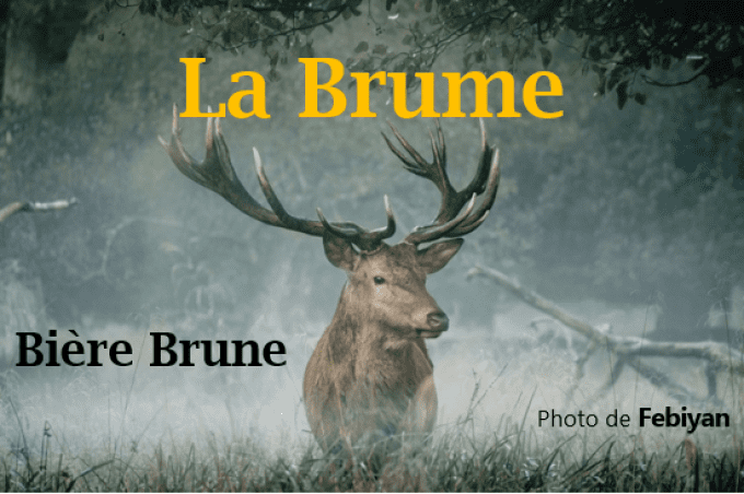 La Brume - Bière Brune - 7,1% vol