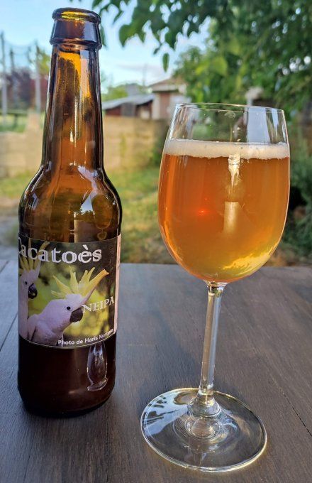 Cacatoës - NEIPE - 5.7% vol