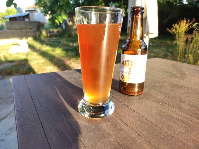 Maïa - Bière au miel - 8.1% vol