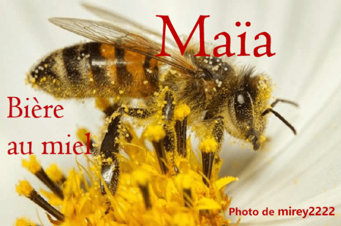 Maïa - Bière au miel - 8.1% vol