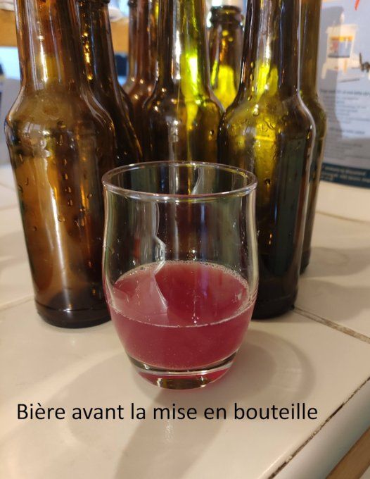 Flamingo - Bière blanche rose (betterave ) - 5.3% vol.