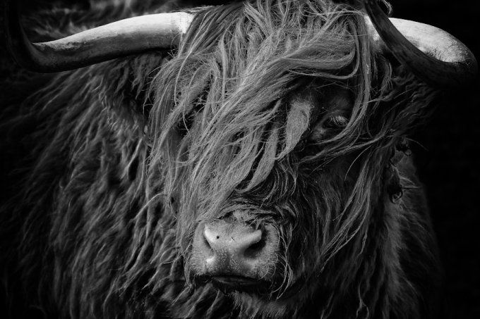 Milky - Sweet Stout - 4,7% vol